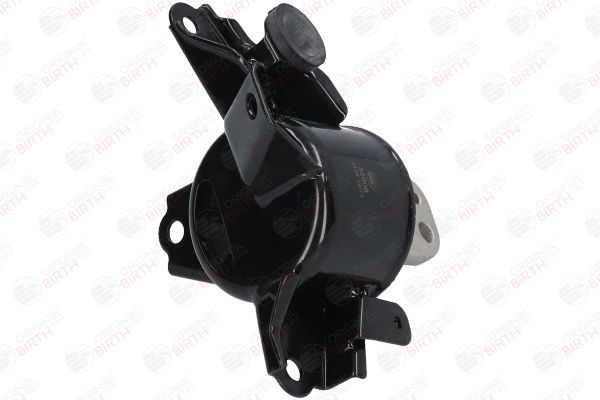 Variklio montavimas BIRTH 52808