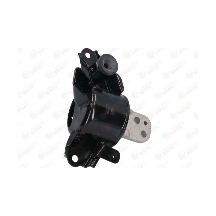 Variklio montavimas BIRTH 52808