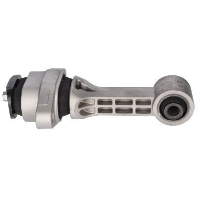 Variklio montavimas BIRTH 52812