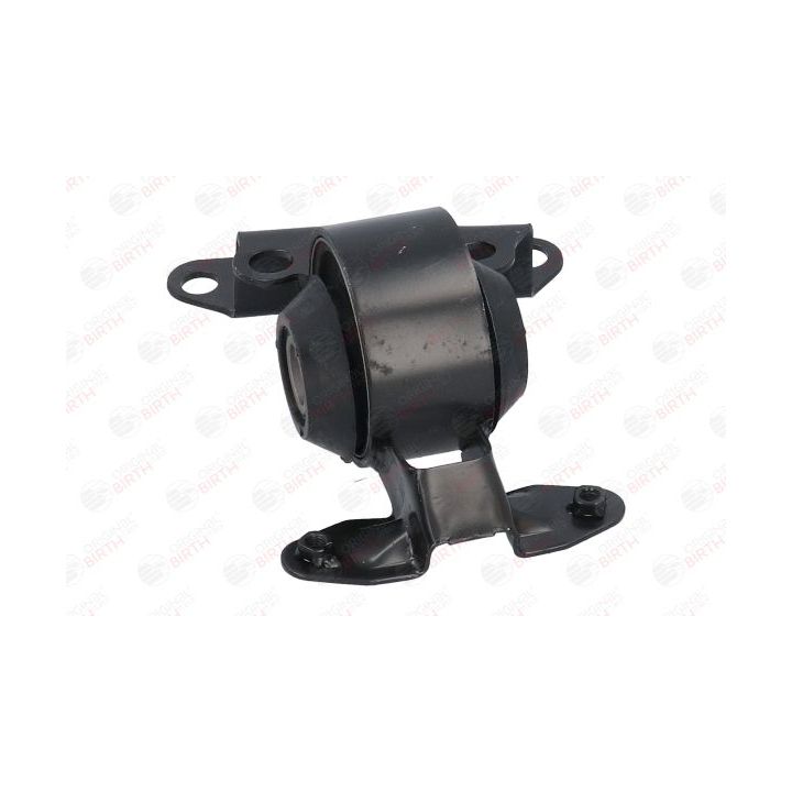 Variklio montavimas BIRTH 52813