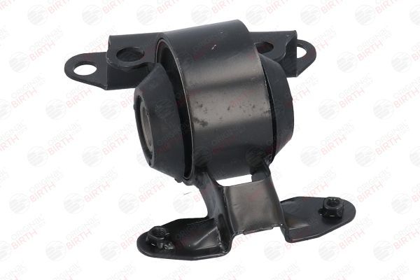 Variklio montavimas BIRTH 52813