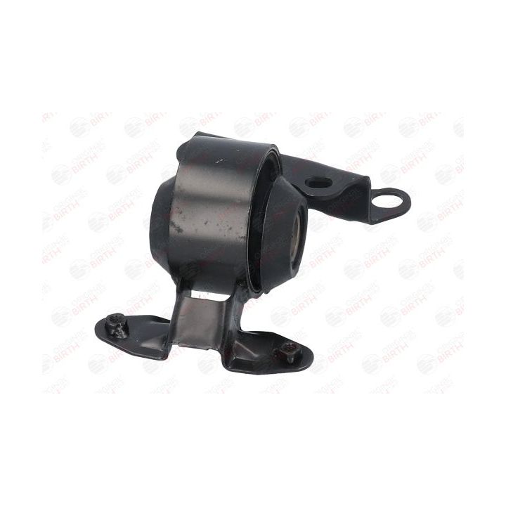 Variklio montavimas BIRTH 52813