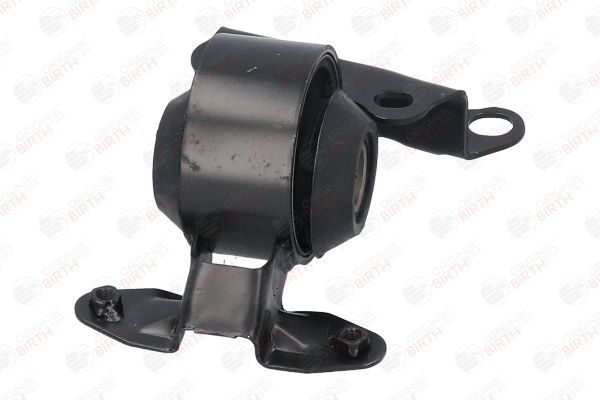 Variklio montavimas BIRTH 52813