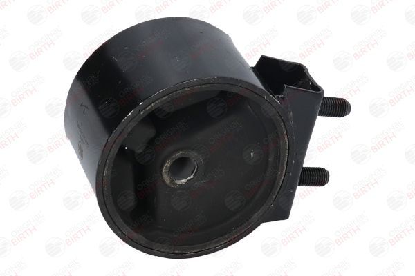 Variklio montavimas BIRTH 52815