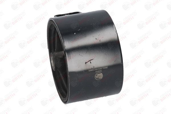 Variklio montavimas BIRTH 52815