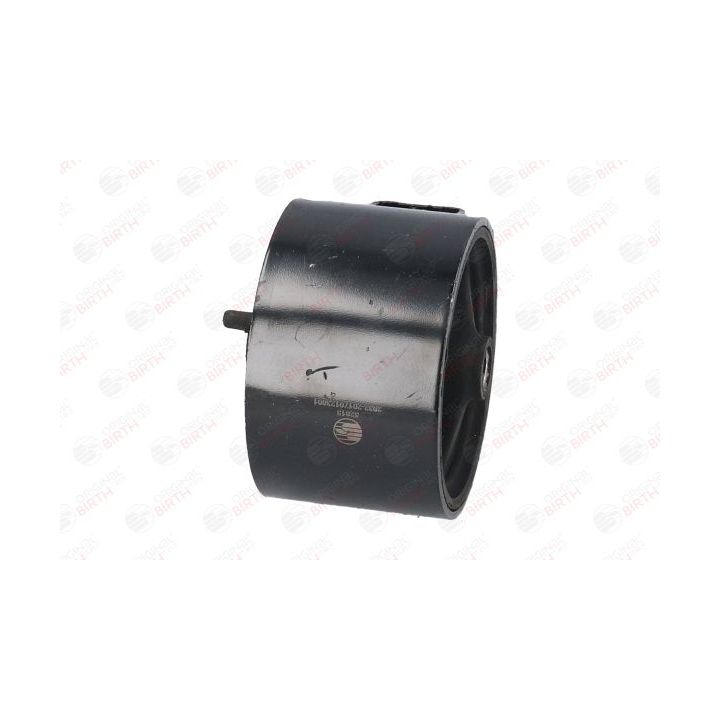 Variklio montavimas BIRTH 52815