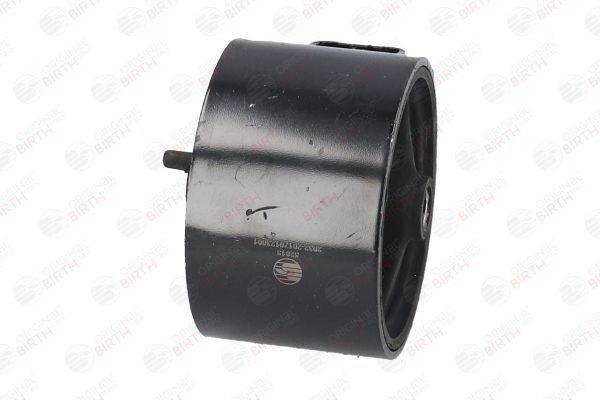 Variklio montavimas BIRTH 52815