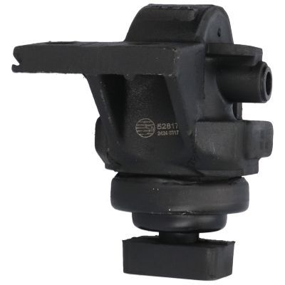 Variklio montavimas BIRTH 52817