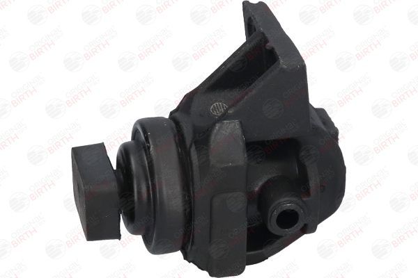 Variklio montavimas BIRTH 52817