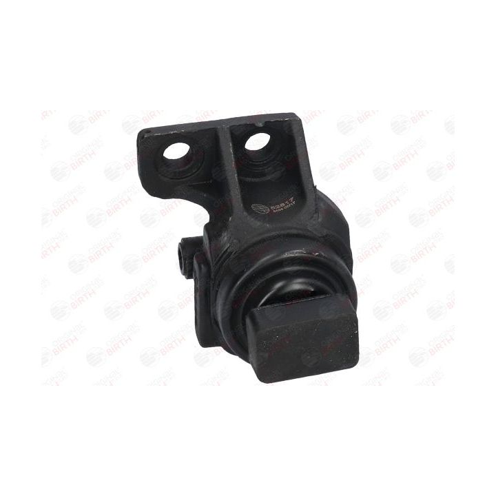 Variklio montavimas BIRTH 52817