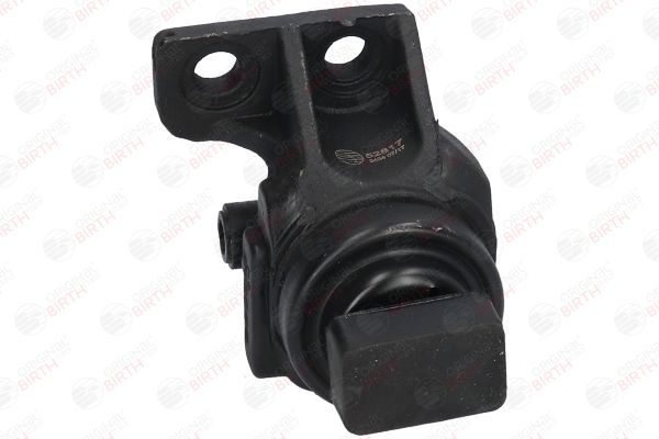 Variklio montavimas BIRTH 52817