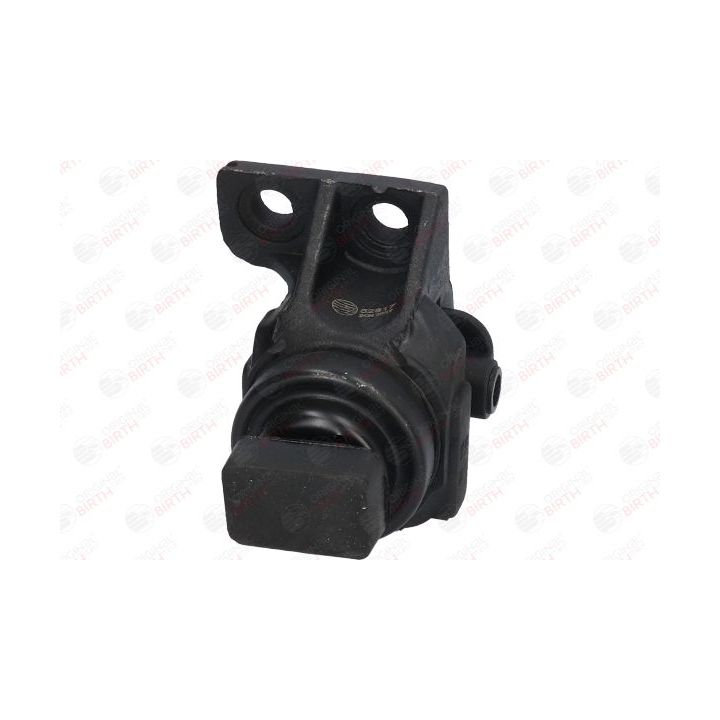 Variklio montavimas BIRTH 52817