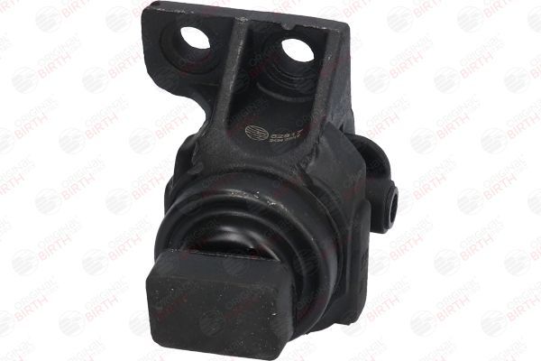 Variklio montavimas BIRTH 52817