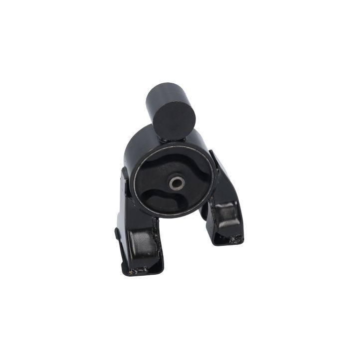 Variklio montavimas BIRTH 52819