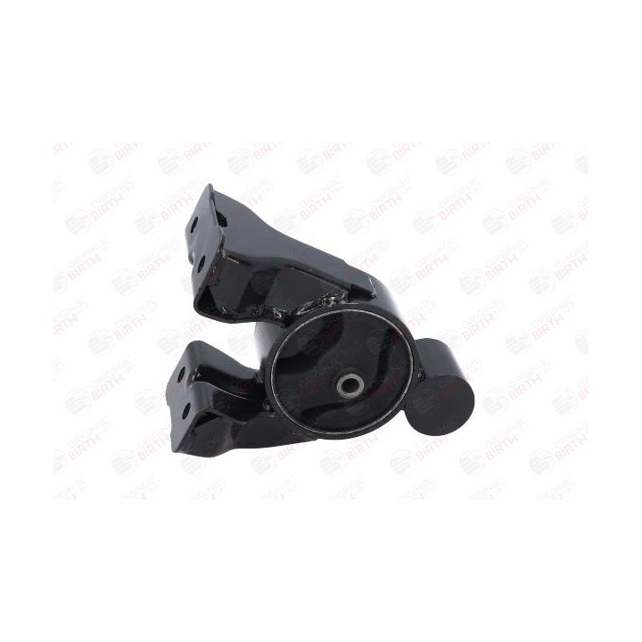 Variklio montavimas BIRTH 52819