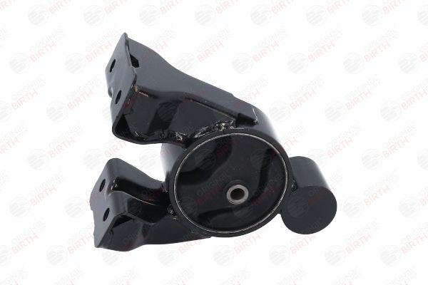 Variklio montavimas BIRTH 52819