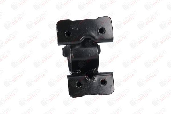 Variklio montavimas BIRTH 52819