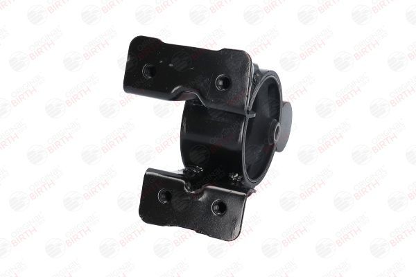 Variklio montavimas BIRTH 52819