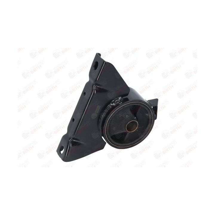 Variklio montavimas BIRTH 52820