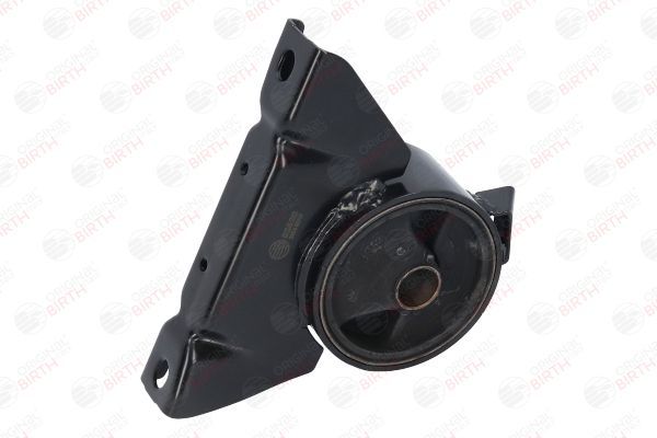 Variklio montavimas BIRTH 52820