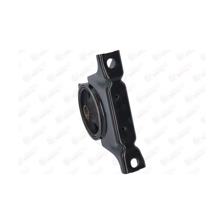 Variklio montavimas BIRTH 52820