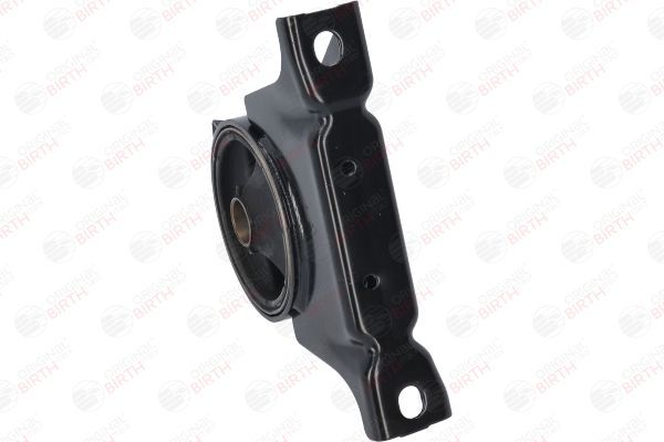 Variklio montavimas BIRTH 52820