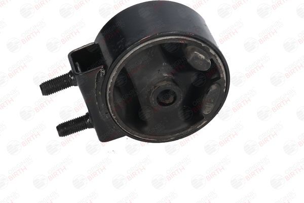 Variklio montavimas BIRTH 52821