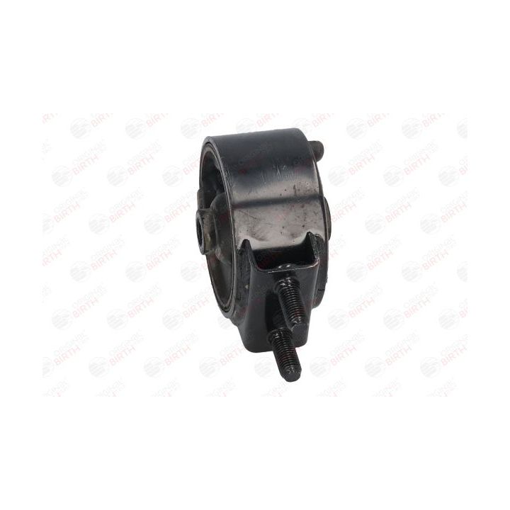 Variklio montavimas BIRTH 52821