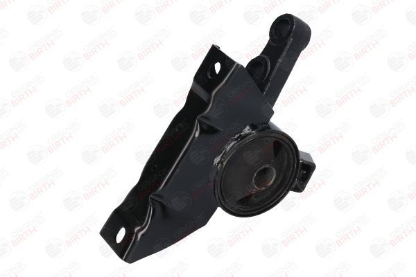 Variklio montavimas BIRTH 52822