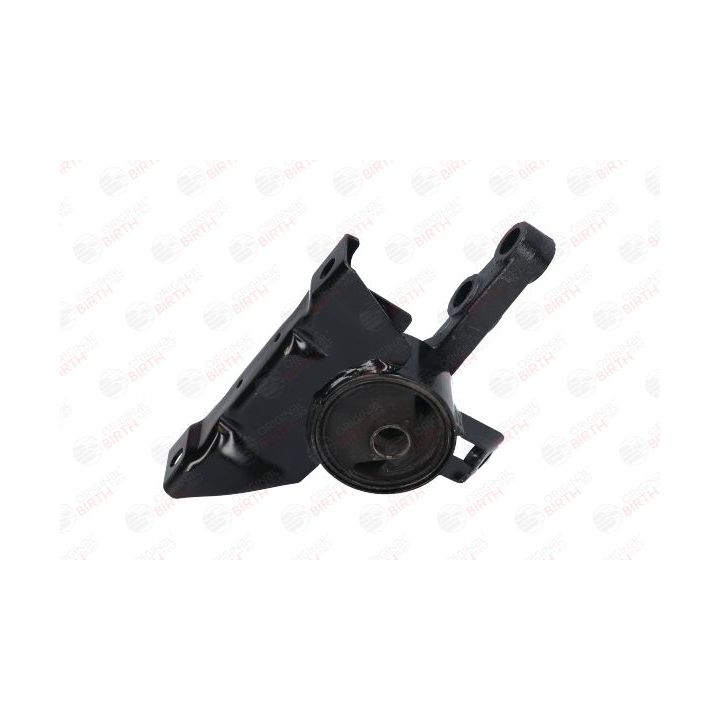 Variklio montavimas BIRTH 52822