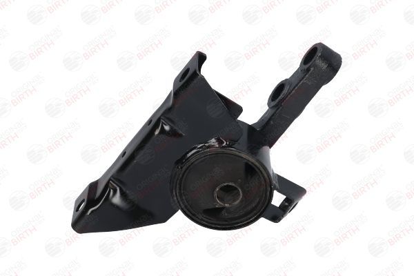 Variklio montavimas BIRTH 52822