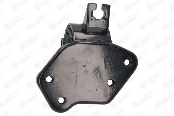 Variklio montavimas BIRTH 52823