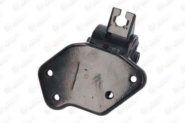 Variklio montavimas BIRTH 52823