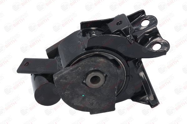 Variklio montavimas BIRTH 52830