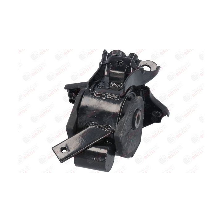 Variklio montavimas BIRTH 52830