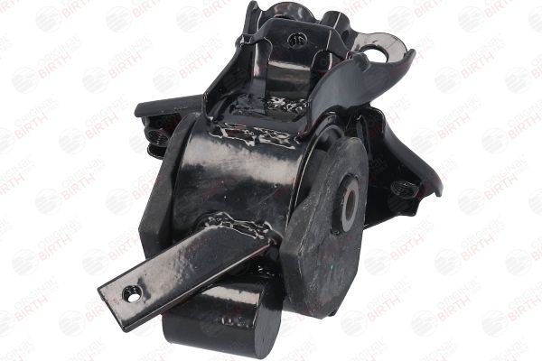 Variklio montavimas BIRTH 52830