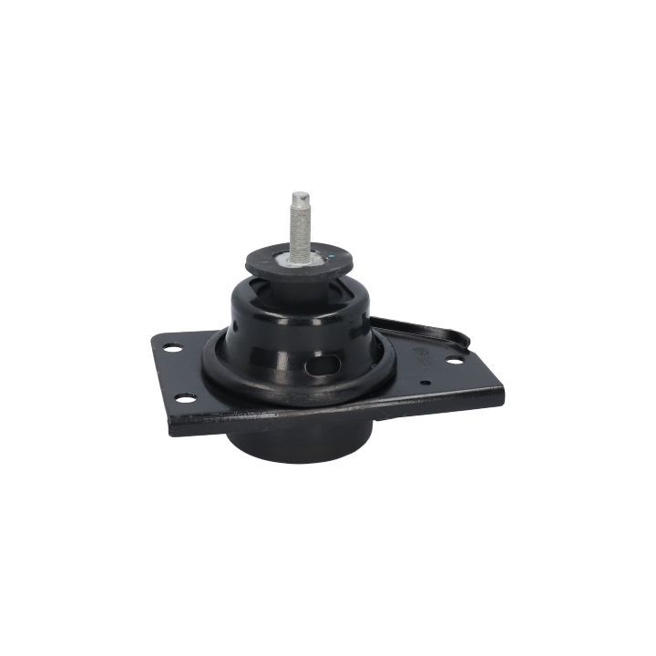 Variklio montavimas BIRTH 52834