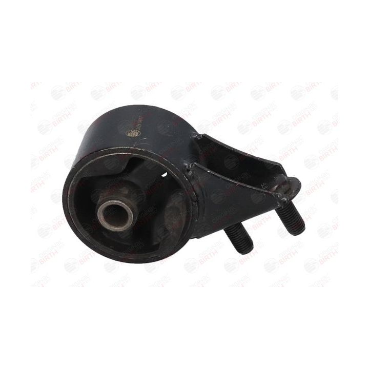 Variklio montavimas BIRTH 52835