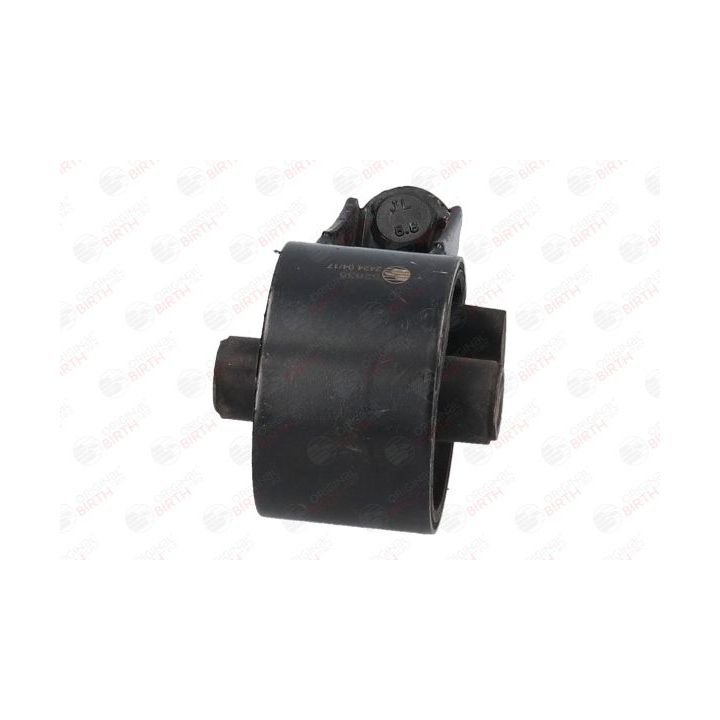 Variklio montavimas BIRTH 52835