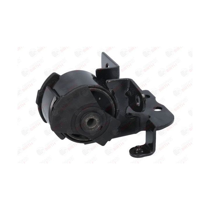 Variklio montavimas BIRTH 52844