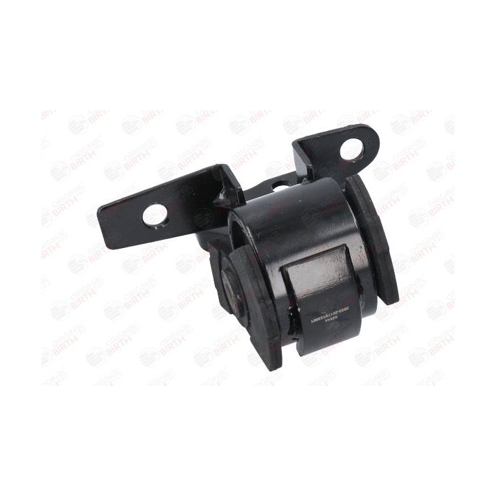 Variklio montavimas BIRTH 52844