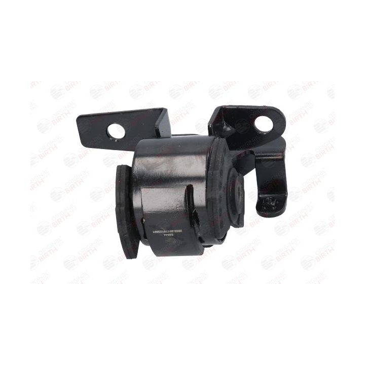 Variklio montavimas BIRTH 52844