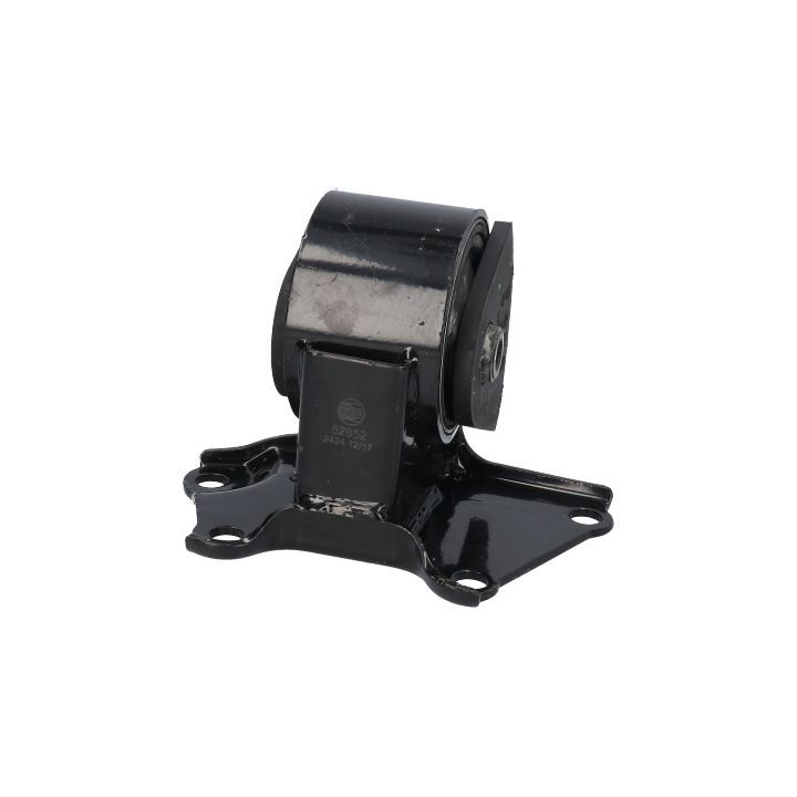 Variklio montavimas BIRTH 52852