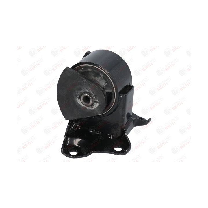 Variklio montavimas BIRTH 52852