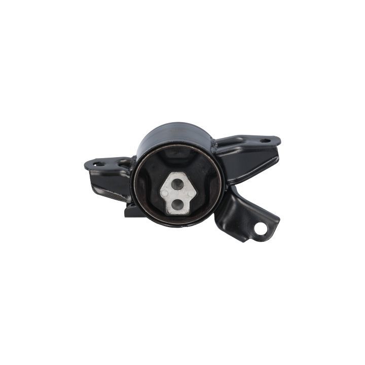 Variklio montavimas BIRTH 52863