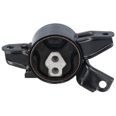 Variklio montavimas BIRTH 52863