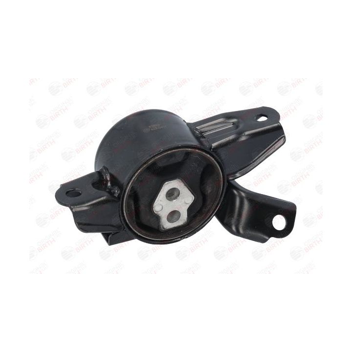 Variklio montavimas BIRTH 52863