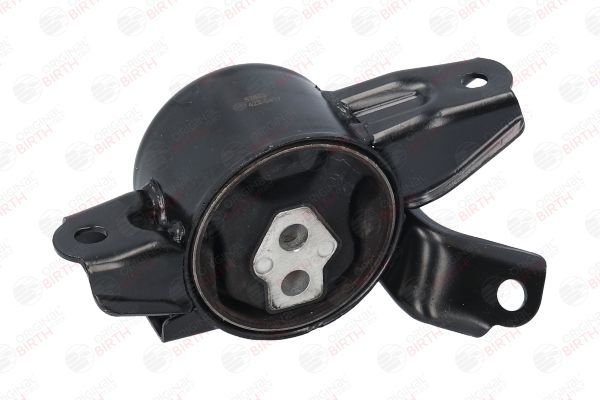 Variklio montavimas BIRTH 52863