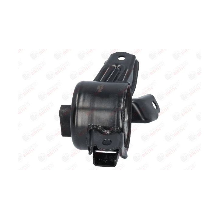 Variklio montavimas BIRTH 52863