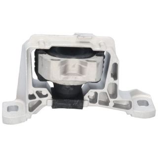 Variklio montavimas BIRTH 52866